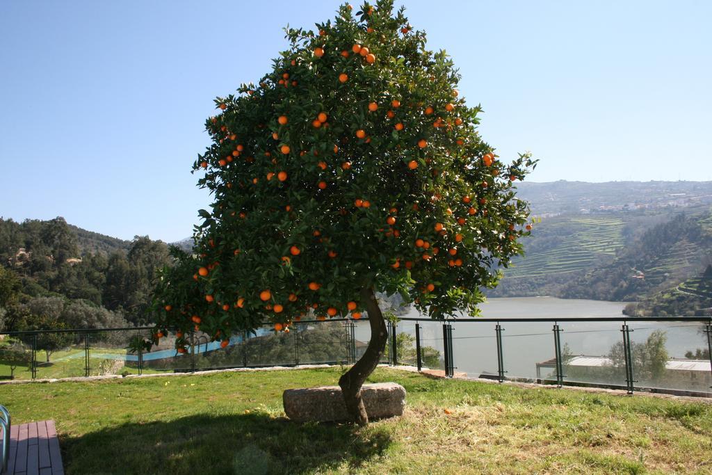 Quinta Das Quintas & Spa Байан Екстер'єр фото