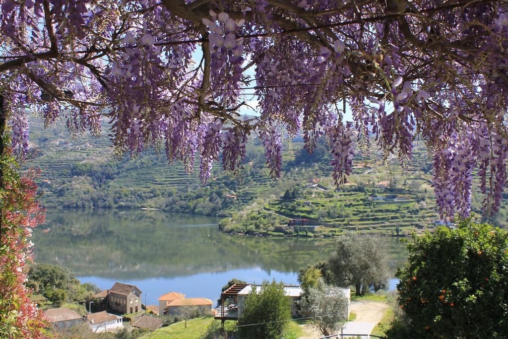 Quinta Das Quintas & Spa Байан Екстер'єр фото
